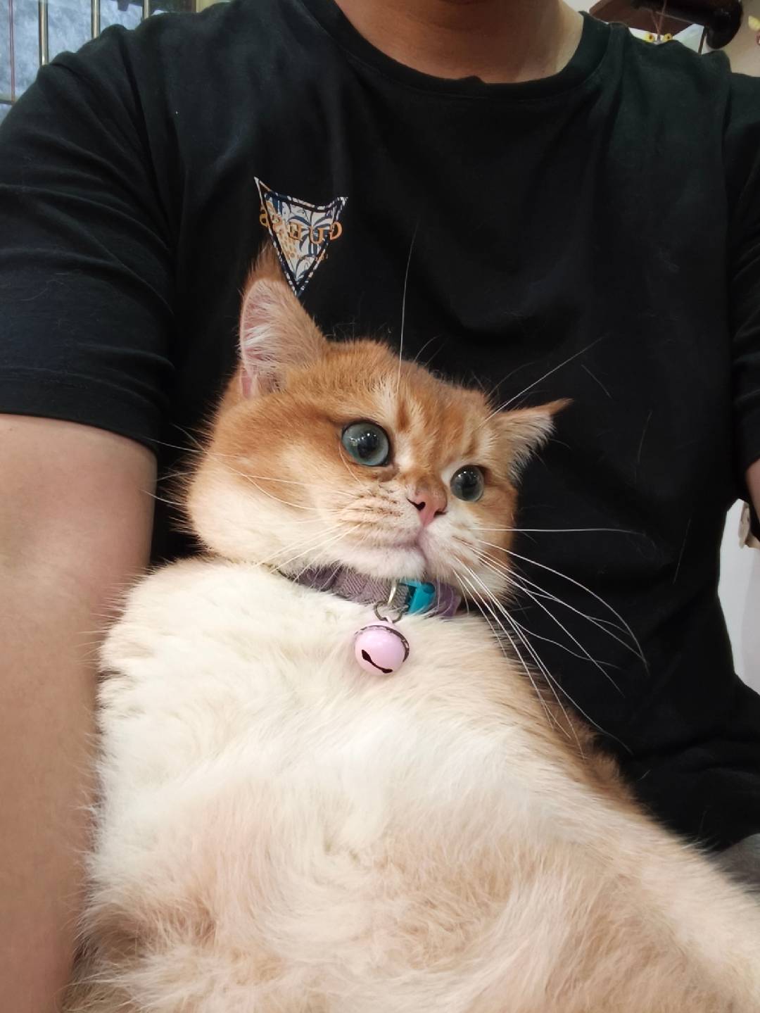 Didi closeup