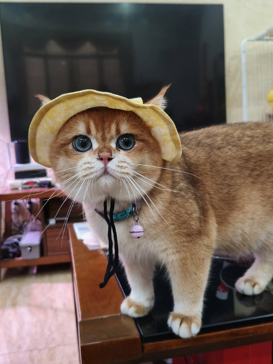 Didi wearing her favorite hat
