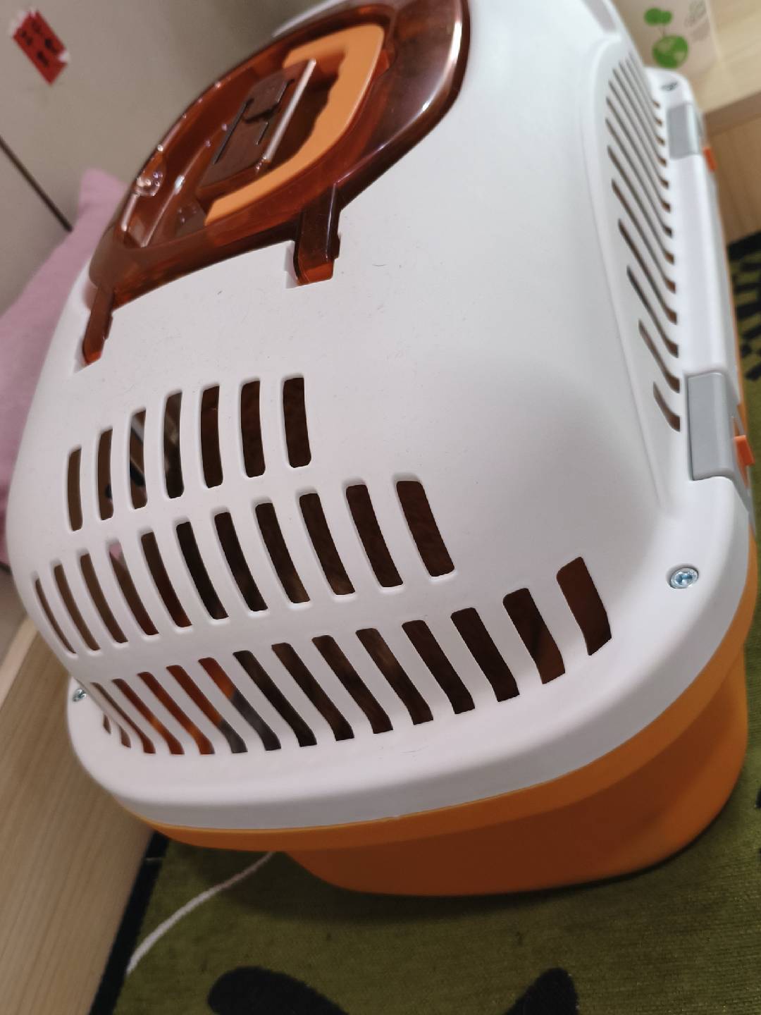 Didi in his carrier ready to go to the vet