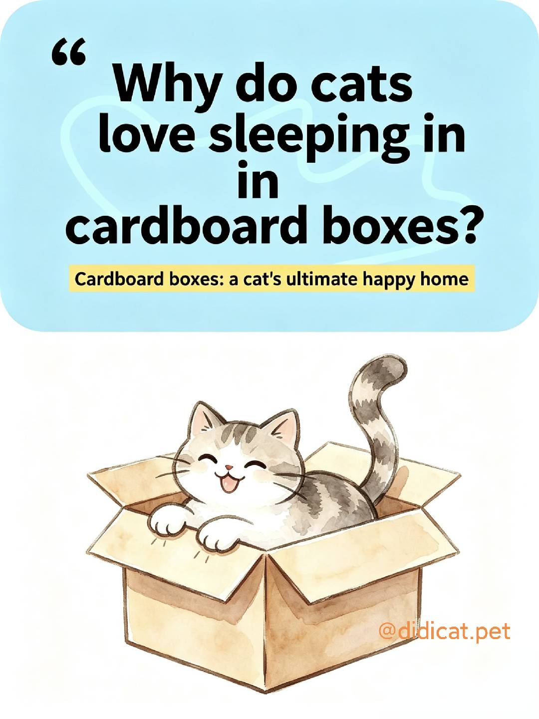 Infographic - Why cats love cardboard boxes