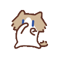 Shy cat facepalm